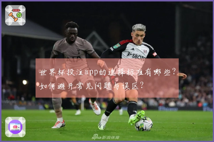 世界杯投注app的选择标准有哪些?如何避开常见问题与误区?