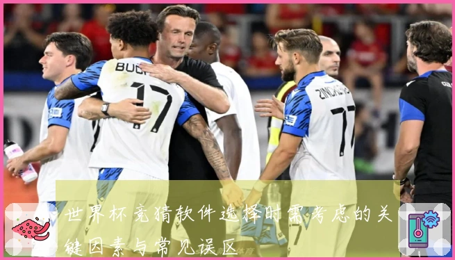 世界杯竞猜软件选择时需考虑的关键因素与常见误区