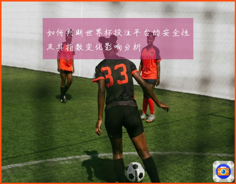 如何判断世界杯投注平台的安全性及其指数变化影响分析