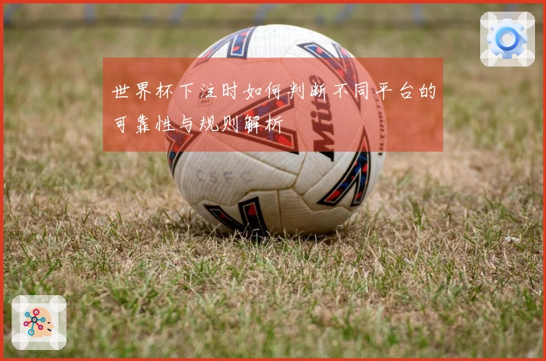世界杯下注时如何判断不同平台的可靠性与规则解析