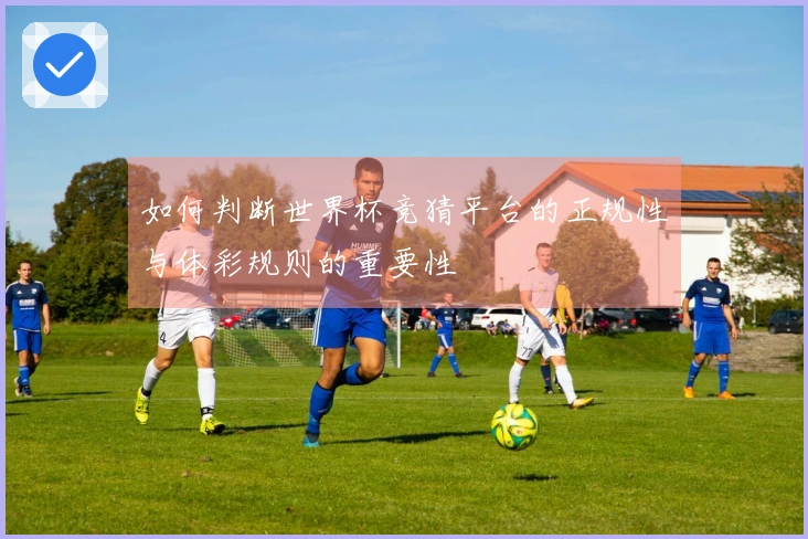 如何判断世界杯竞猜平台的正规性与体彩规则的重要性