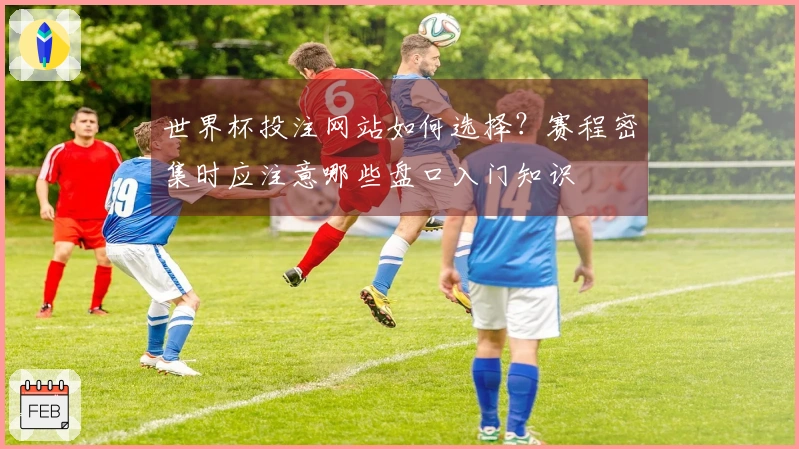 世界杯投注网站如何选择?赛程密集时应注意哪些盘口入门知识
