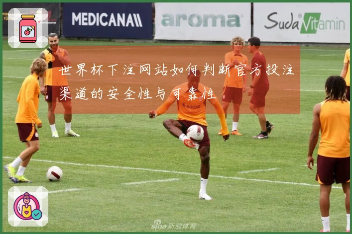 世界杯下注网站如何判断官方投注渠道的安全性与可靠性