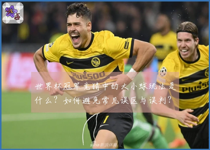 世界杯冠军竞猜中的大小球玩法是什么?如何避免常见误区与误判?