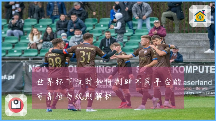世界杯下注时如何判断不同平台的可靠性与规则解析