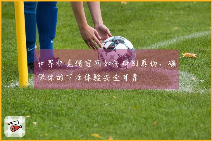 世界杯竞猜官网如何辨别真伪，确保你的下注体验安全可靠