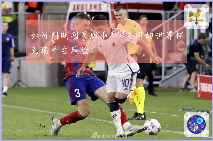 如何判断网页版和APP之间的世界杯竞猜平台风险？