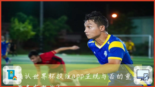 确认世界杯投注app正规与否的重点要素有哪些？