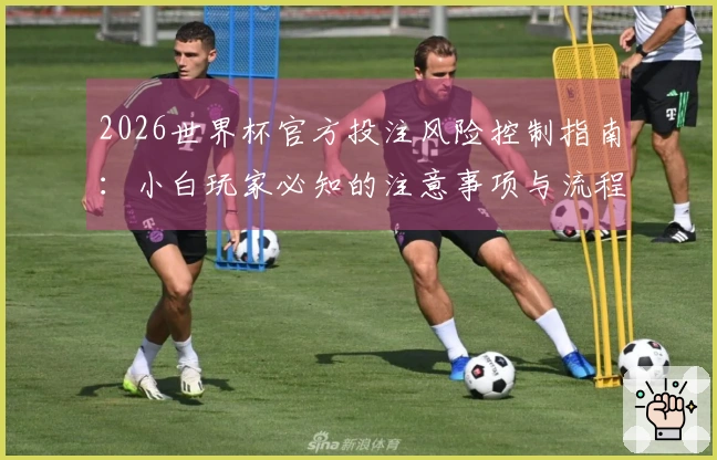 2026世界杯官方投注风险控制指南：小白玩家必知的注意事项与流程分析
