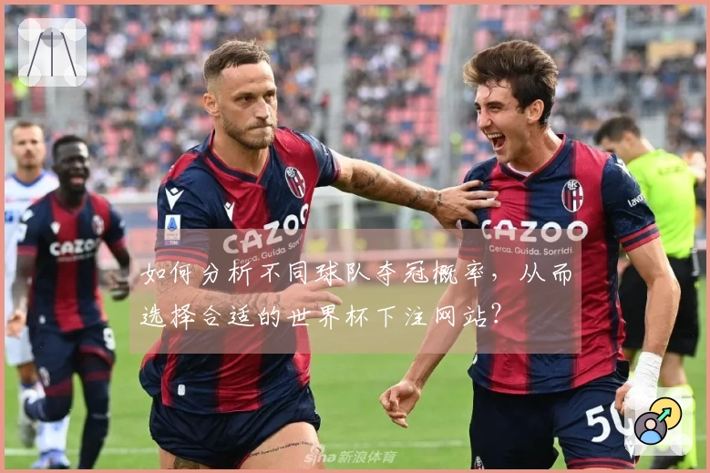 如何分析不同球队夺冠概率，从而选择合适的世界杯下注网站？