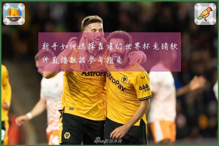 新手如何选择靠谱的世界杯竞猜软件直播数据参考指南