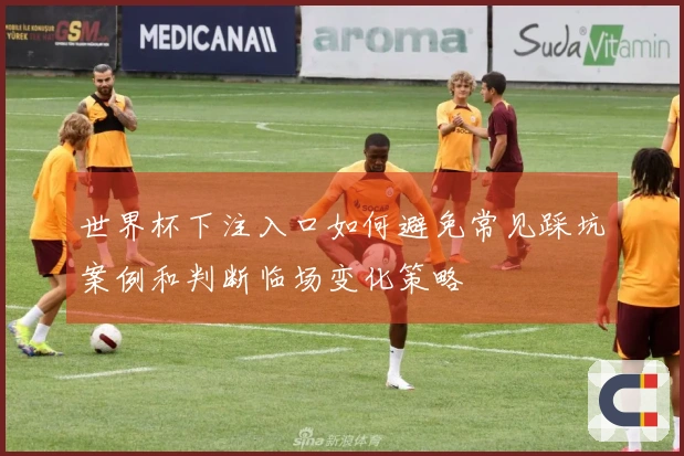 世界杯下注入口如何避免常见踩坑案例和判断临场变化策略