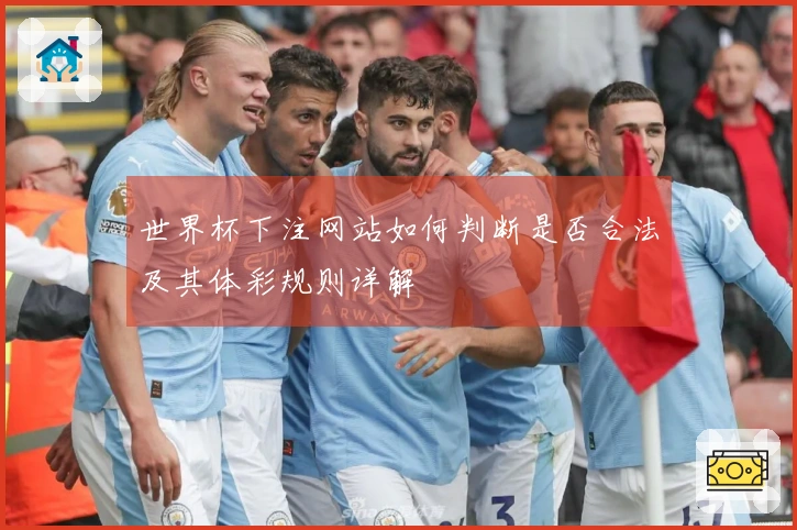 世界杯下注网站如何判断是否合法及其体彩规则详解