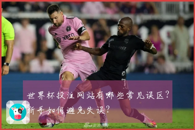 世界杯投注网站有哪些常见误区？新手如何避免失误？