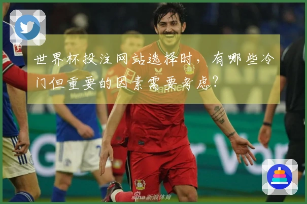 世界杯投注网站选择时，有哪些冷门但重要的因素需要考虑？