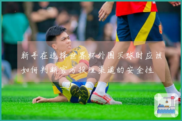 新手在选择世界杯外围买球时应该如何判断官方投注渠道的安全性