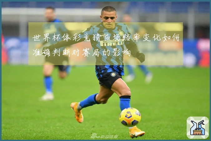世界杯体彩竞猜临场赔率变化如何准确判断对赛局的影响