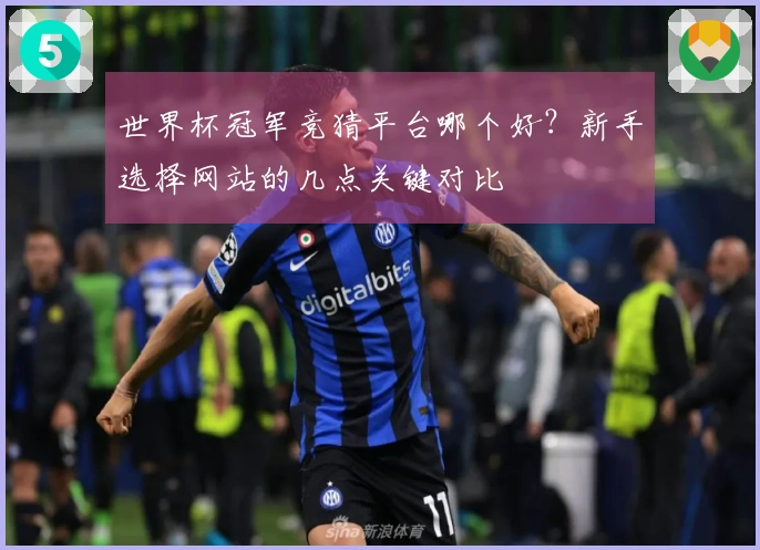 世界杯冠军竞猜平台哪个好？新手选择网站的几点关键对比