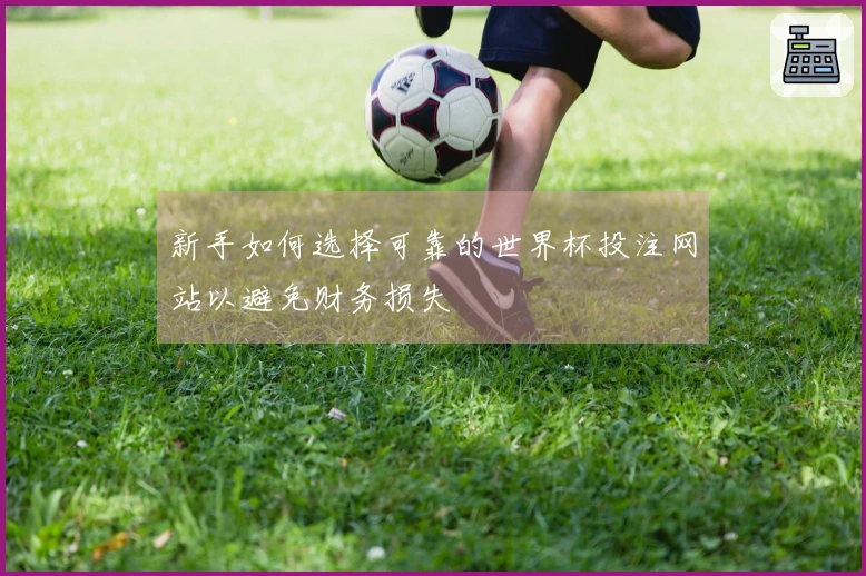新手如何选择可靠的世界杯投注网站以避免财务损失