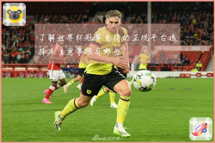 了解世界杯冠军竞猜的正规平台选择及注意事项有哪些？