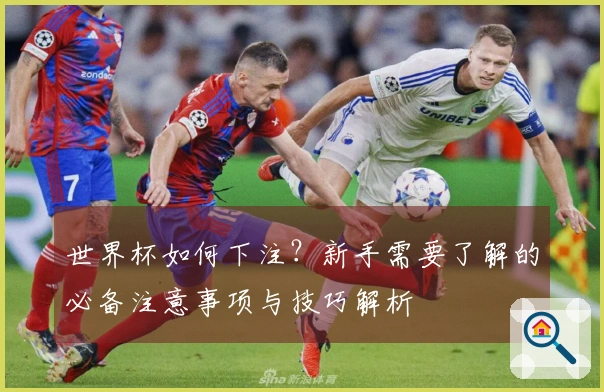 世界杯如何下注？新手需要了解的必备注意事项与技巧解析
