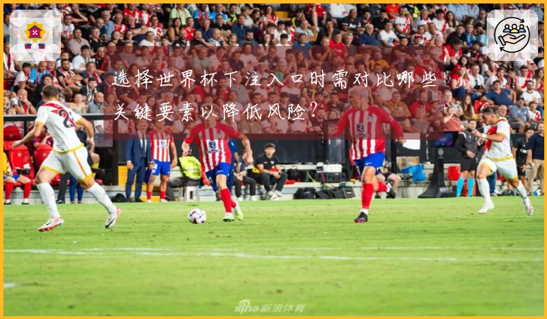 选择世界杯下注入口时需对比哪些关键要素以降低风险?