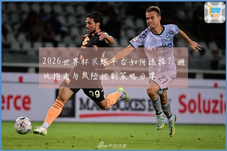 2026世界杯买球平台如何选择？避坑指南与风险控制策略分享